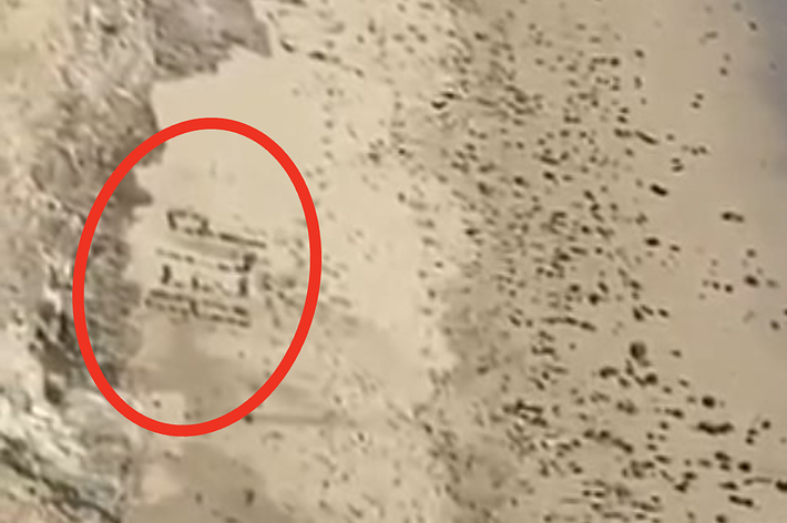 ビーチの遠景。もたれかかって横になった二人、そして馬に乗った二人が砂浜にいる様子。