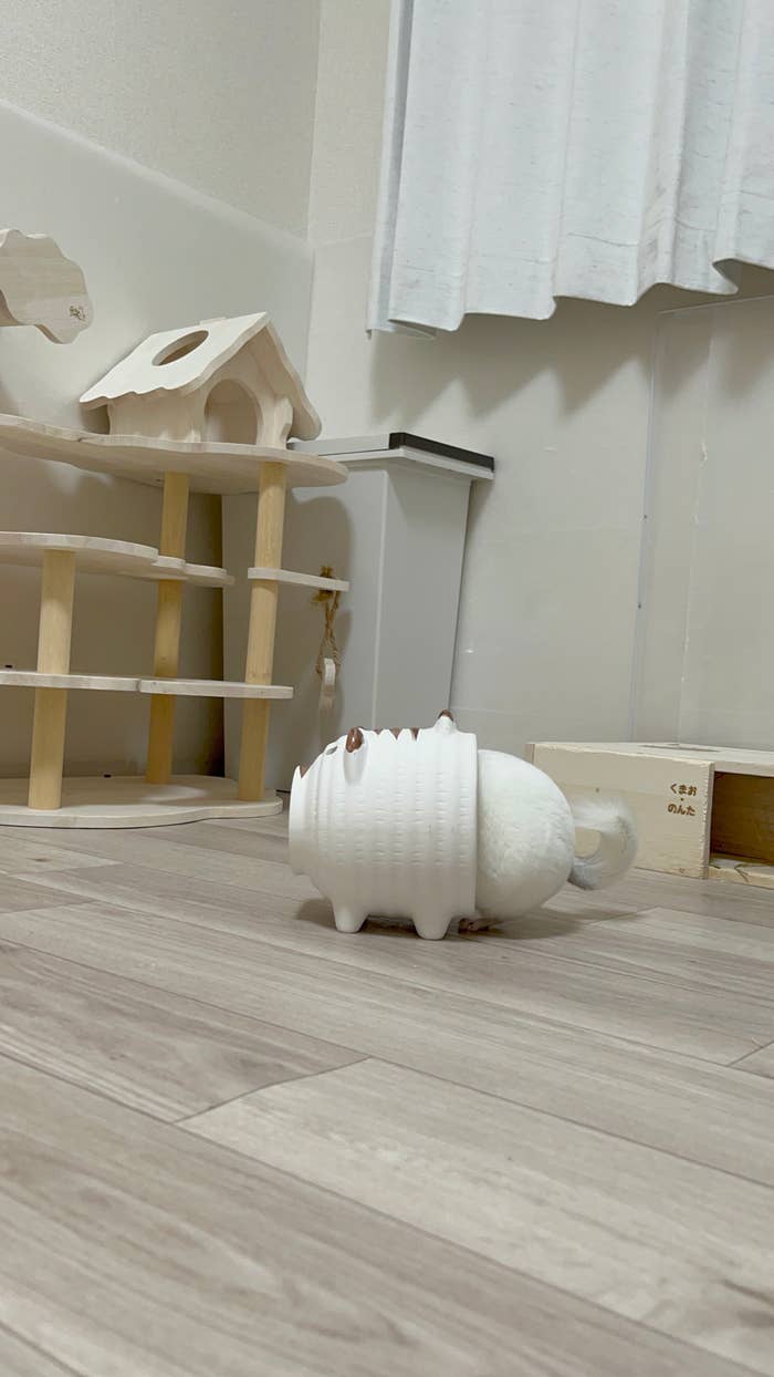 蚊取り線香のブタさんからはみ出すかわいいくまおくんのおしり