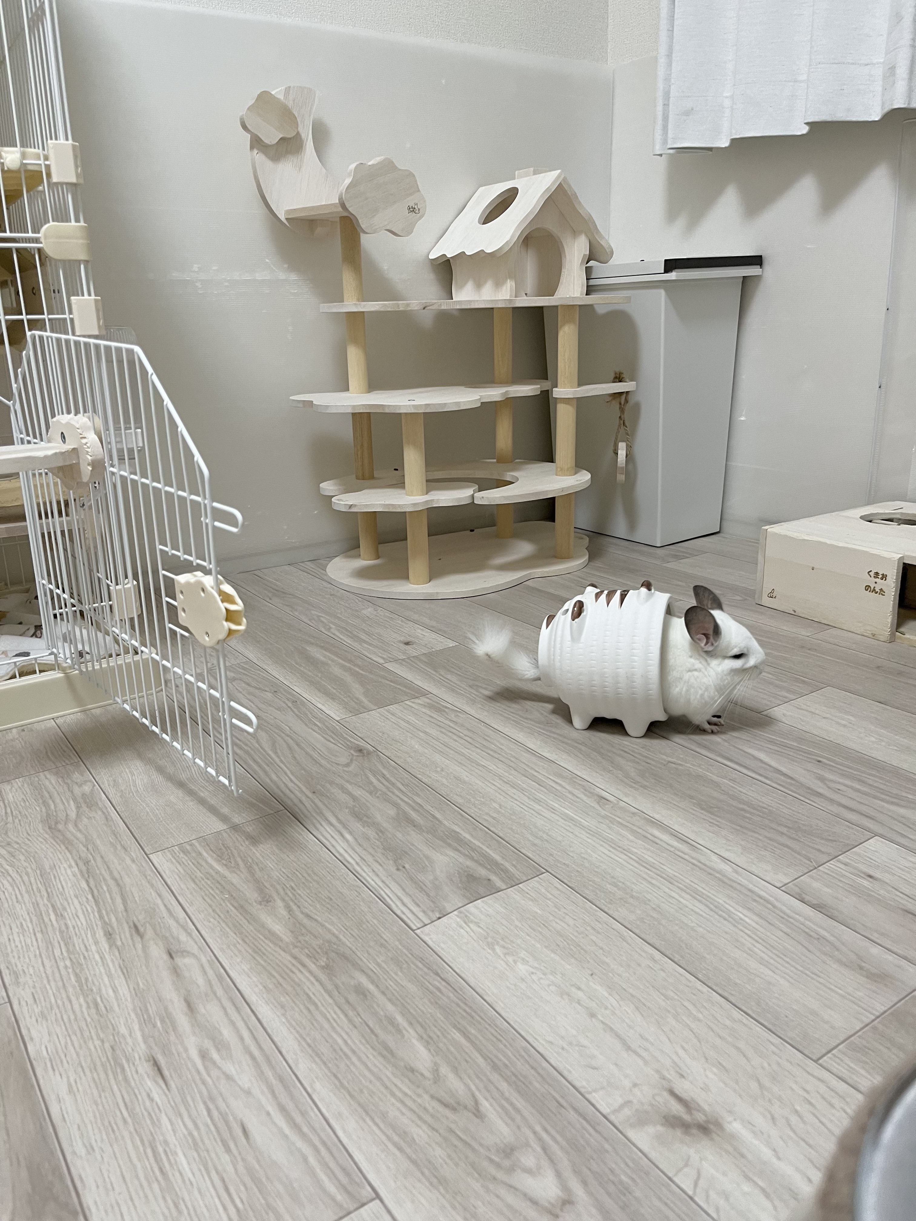 蚊取り線香のブタさんからお顔としっぽが出ているくまおくん