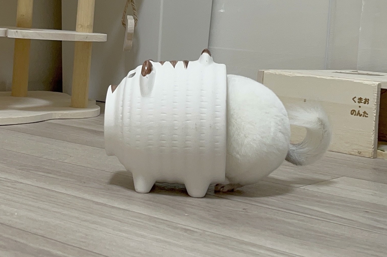 蚊取り線香のブタさんからはみ出すかわいいくまおくんのおしり