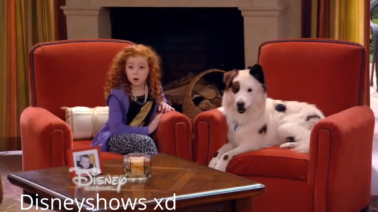 A young girl with curly red hair sits on a red chair next to a white and black dog in another red chair. Text reads, "Disney Channel, Disneyshows xd". There is a photo frame on the table