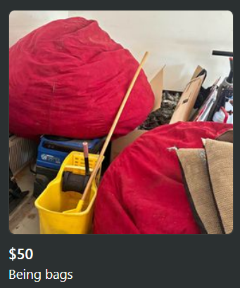 Two large bean bags and various items, including a mop bucket and broom, are for sale for $50
