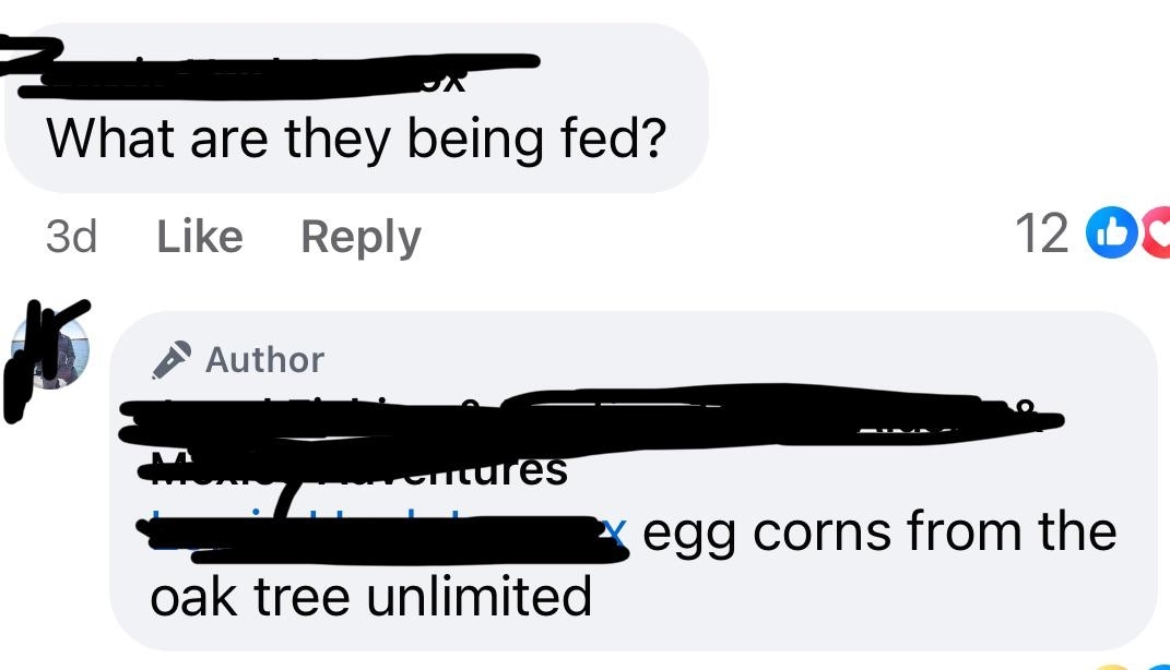 Text post: &quot;What are they being fed?&quot; Comment reply: &quot;Egg corns from the oak tree unlimited.&quot; 

(Note: Personal information has been redacted.)