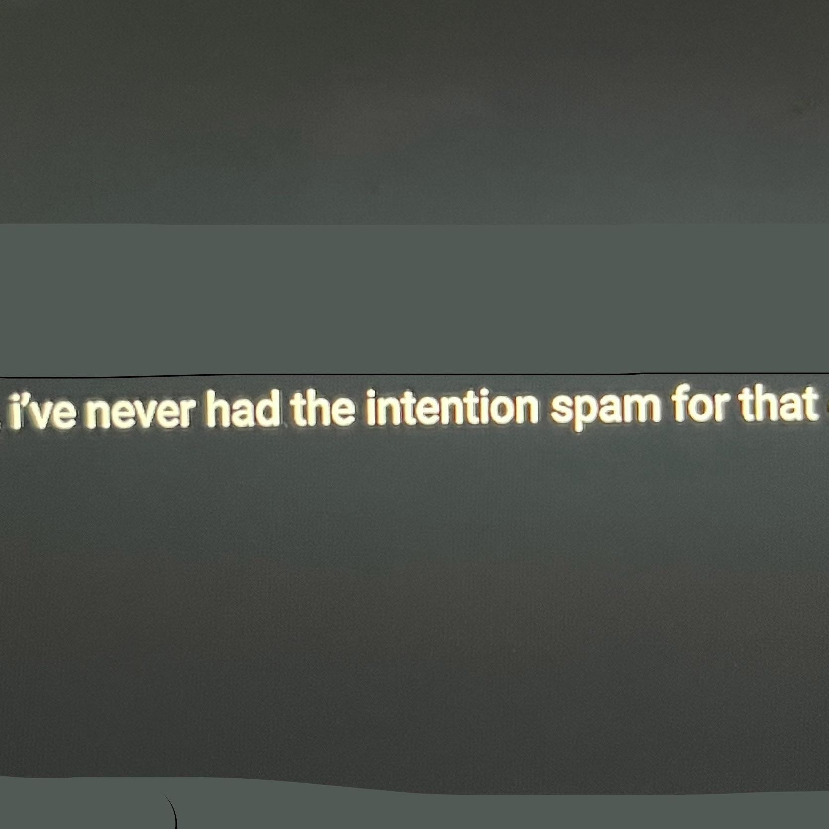 The image contains text that reads, &quot;i&#x27;ve never had the intention spam for that.&quot;