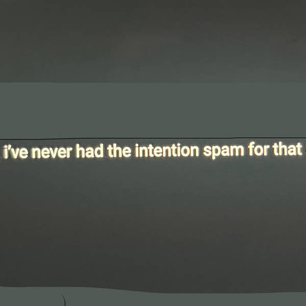 The image contains text that reads, &quot;i&#x27;ve never had the intention spam for that.&quot;