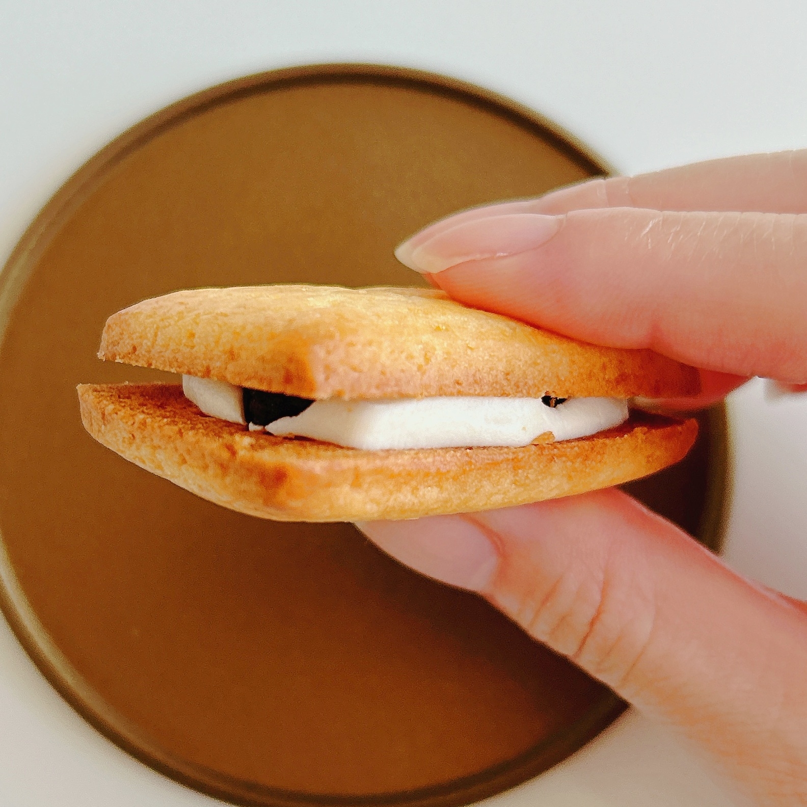 FamilyMart（ファミリーマート）のおすすめスイーツ「洋酒香るガトーレーズン」