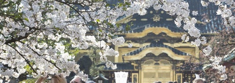 数人が石の鳥居の下を歩いている。背景には桜の花が満開となり、露店が並んでいる。