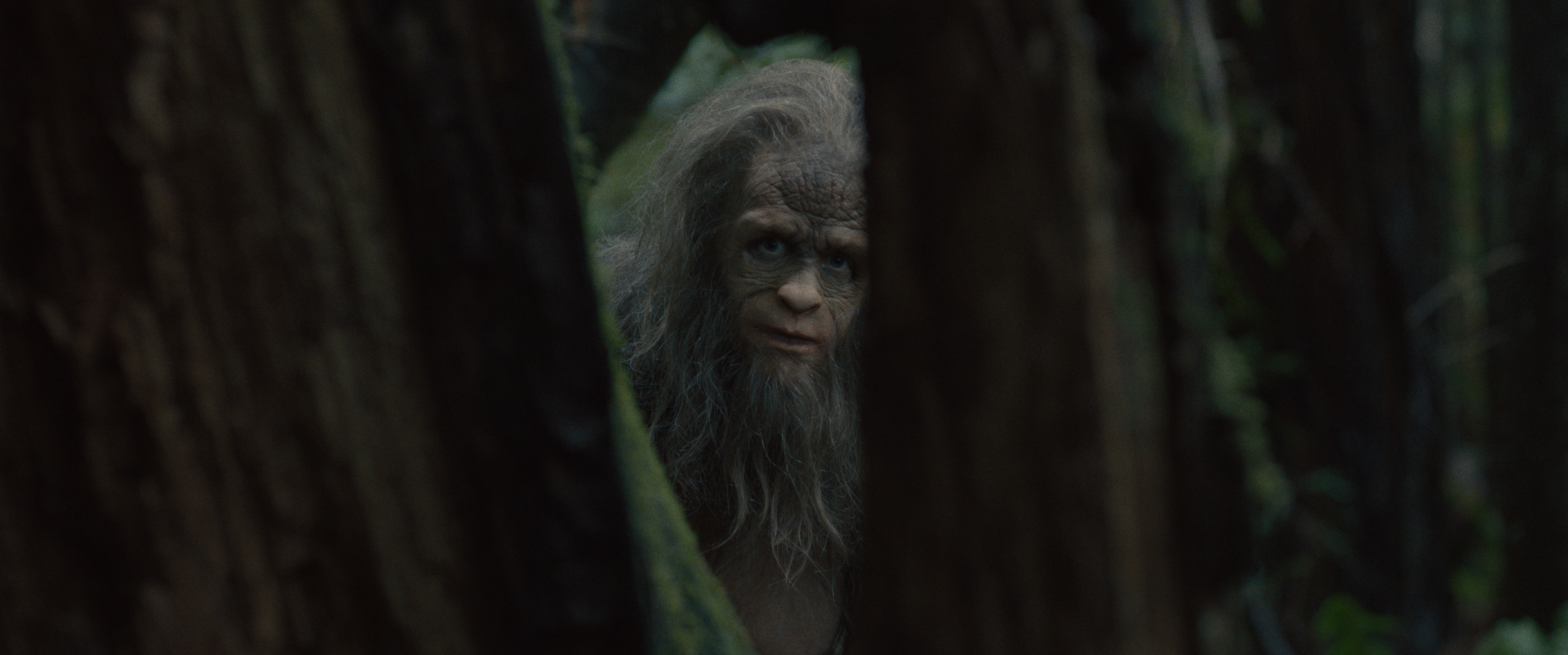 A human-like creature with long hair, prominent facial features, and a mysterious expression peeks through a gap between tree trunks in a dense forest
