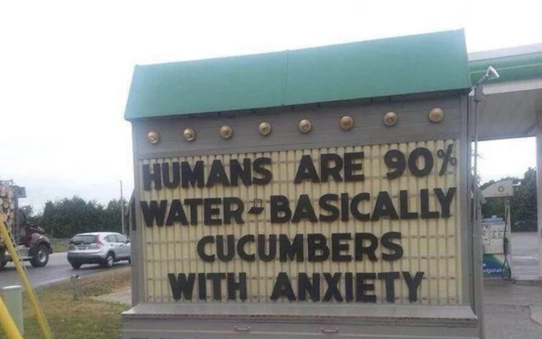 A roadside sign reads: "Humans are 90% water - basically cucumbers with anxiety."