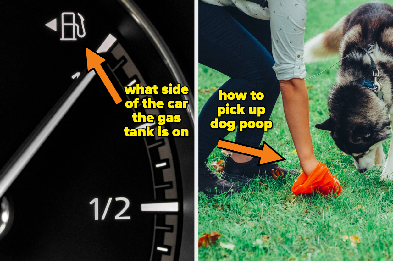 Two images: Left shows a car fuel gauge indicating gas tank side. Right shows someone using a bag to pick up dog poop while walking a dog