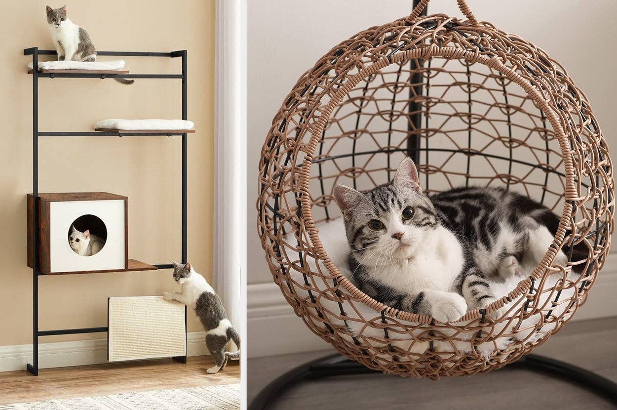 24 Stylish Pieces Of Cat Furniture You Won t Hide