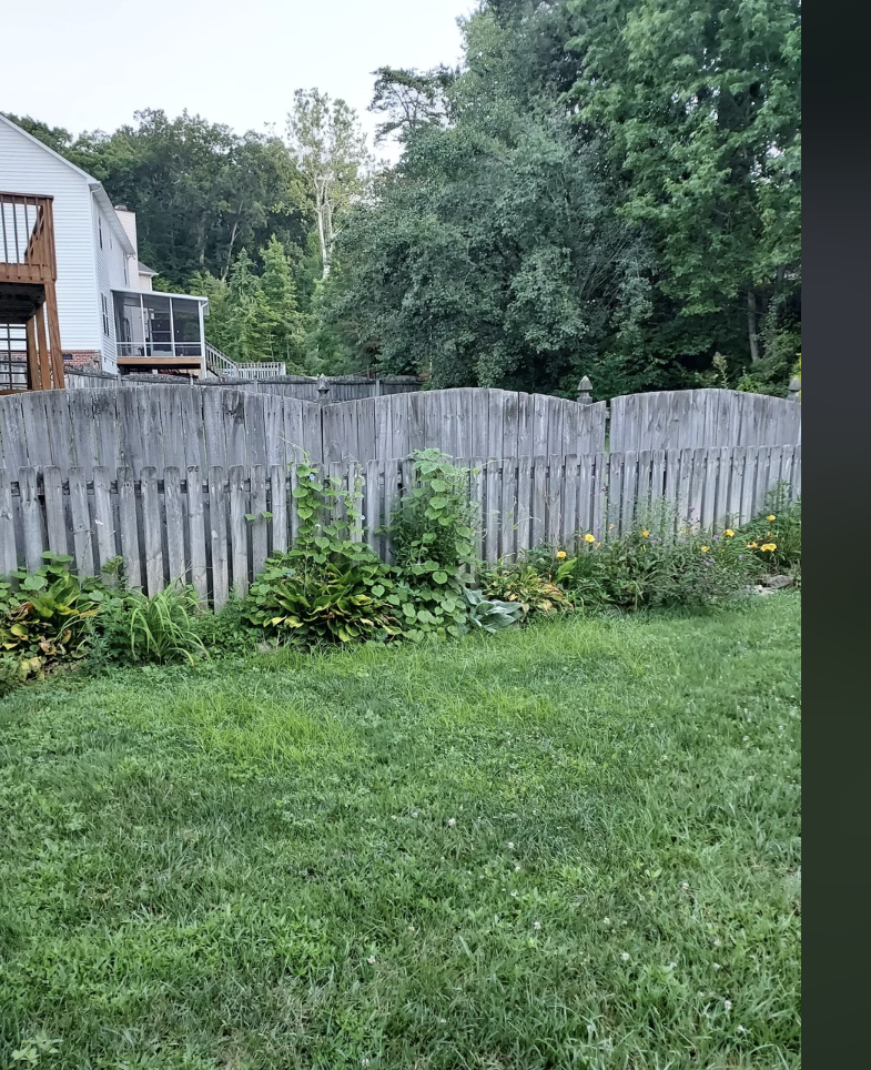Reddit post titled "Is a 6 ft fence worth the extra privacy?" with a photo of a backyard featuring a tall wooden fence and a house in the background