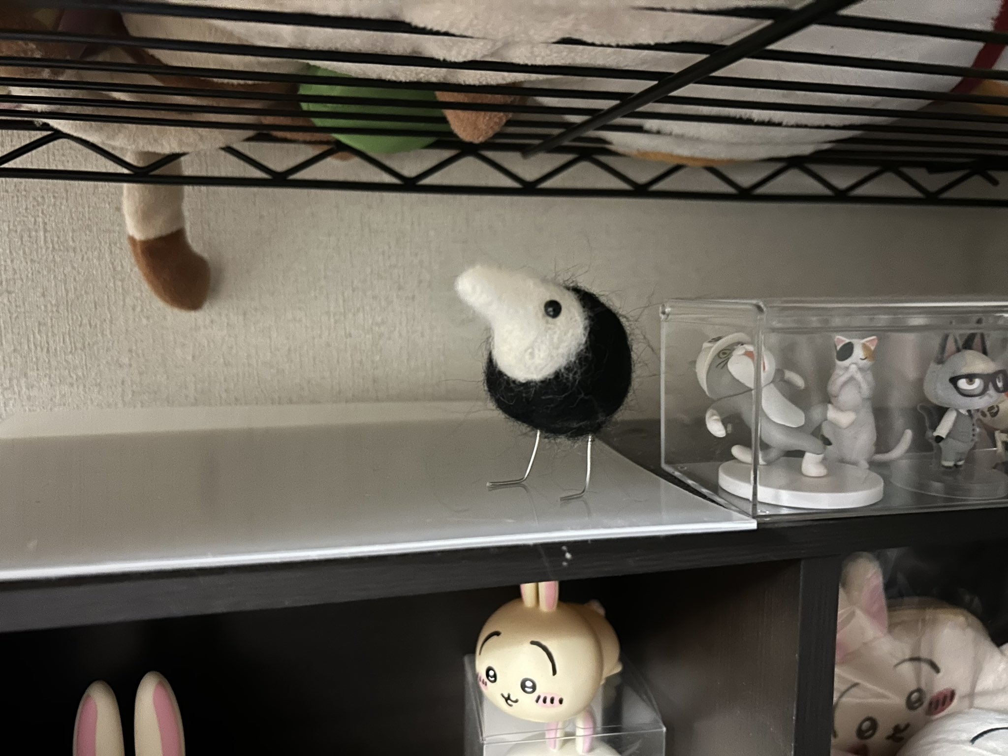 ネコスさんXアカウントより