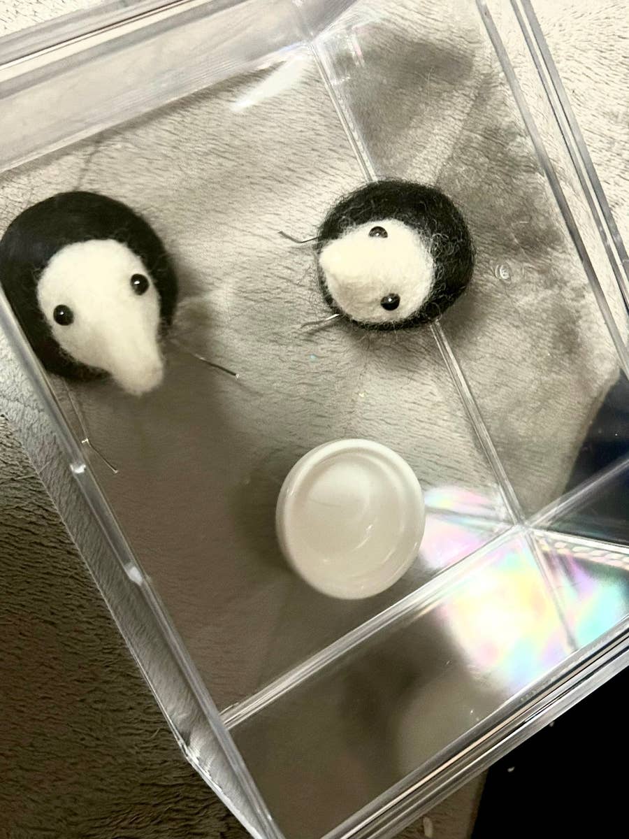 ダイソー】羊毛フェルトキットでペンギンを作るつもりが“謎の生物“が 