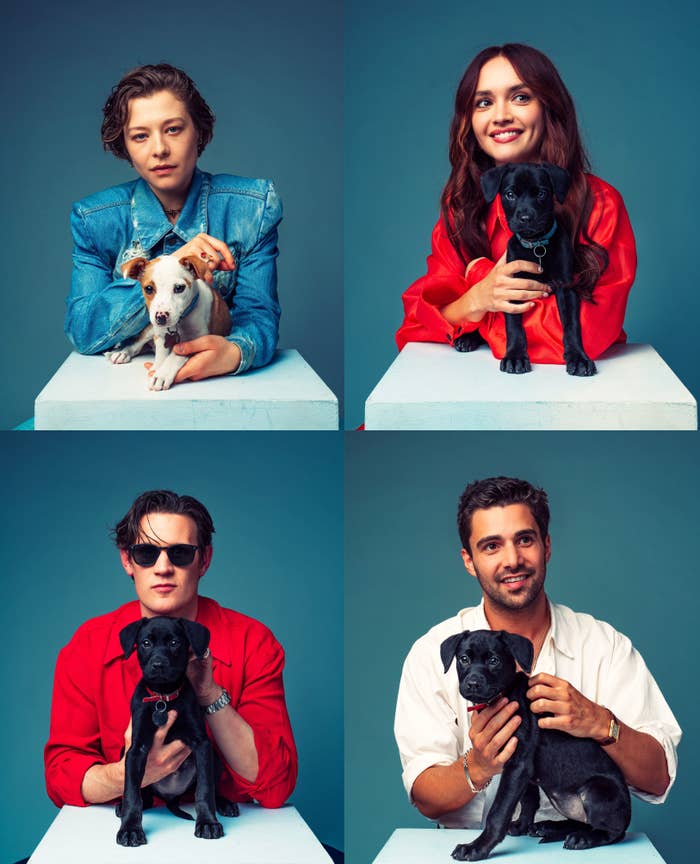 Clockwise from top left: Emma D'Arcy in denim with white dog, Olivia Cooke in red with black puppy, Fabien Frankel in white with black puppy, Matt Smith in red with black puppy