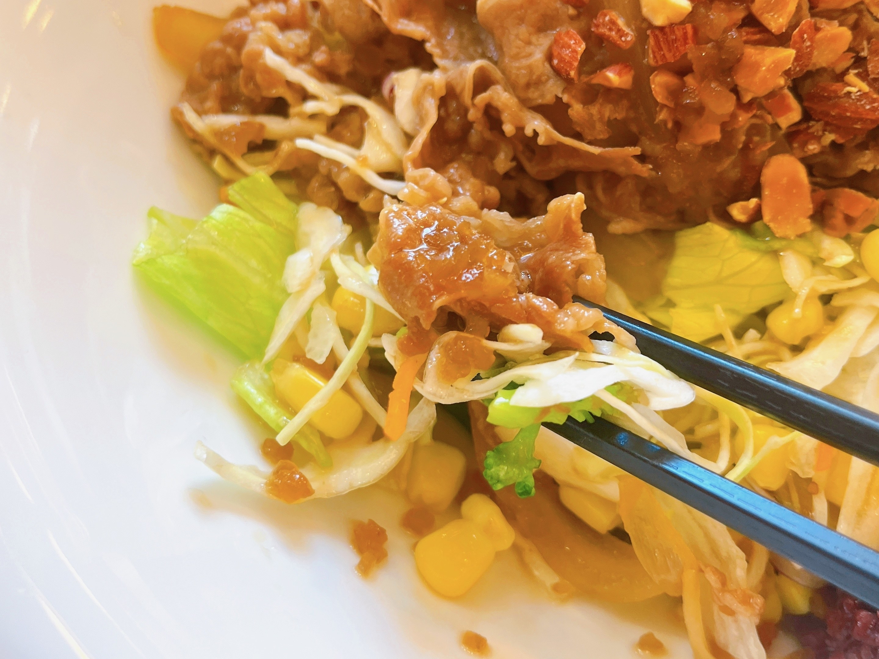 すき家のおすすめメニュー「牛・お食事サラダ」