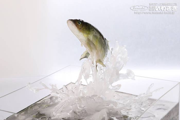 鮎が跳ねている表現 / 株式会社いわさき公式アカウントより