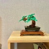 masatakasato
