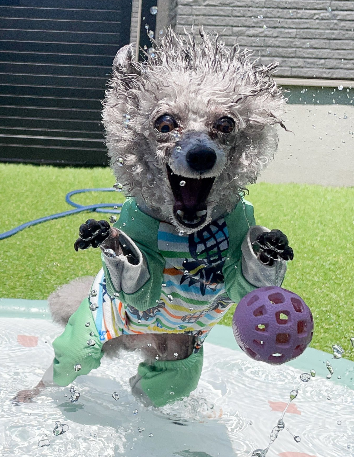 妖怪化してしまったもくくんをアップで