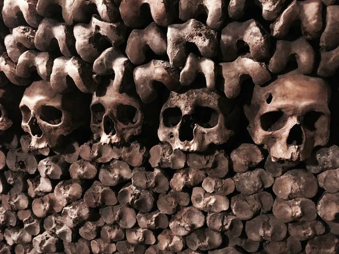 Rows of human skulls and bones stacked in an underground ossuary, commonly known as the Catacombs of Paris, a historical site in France