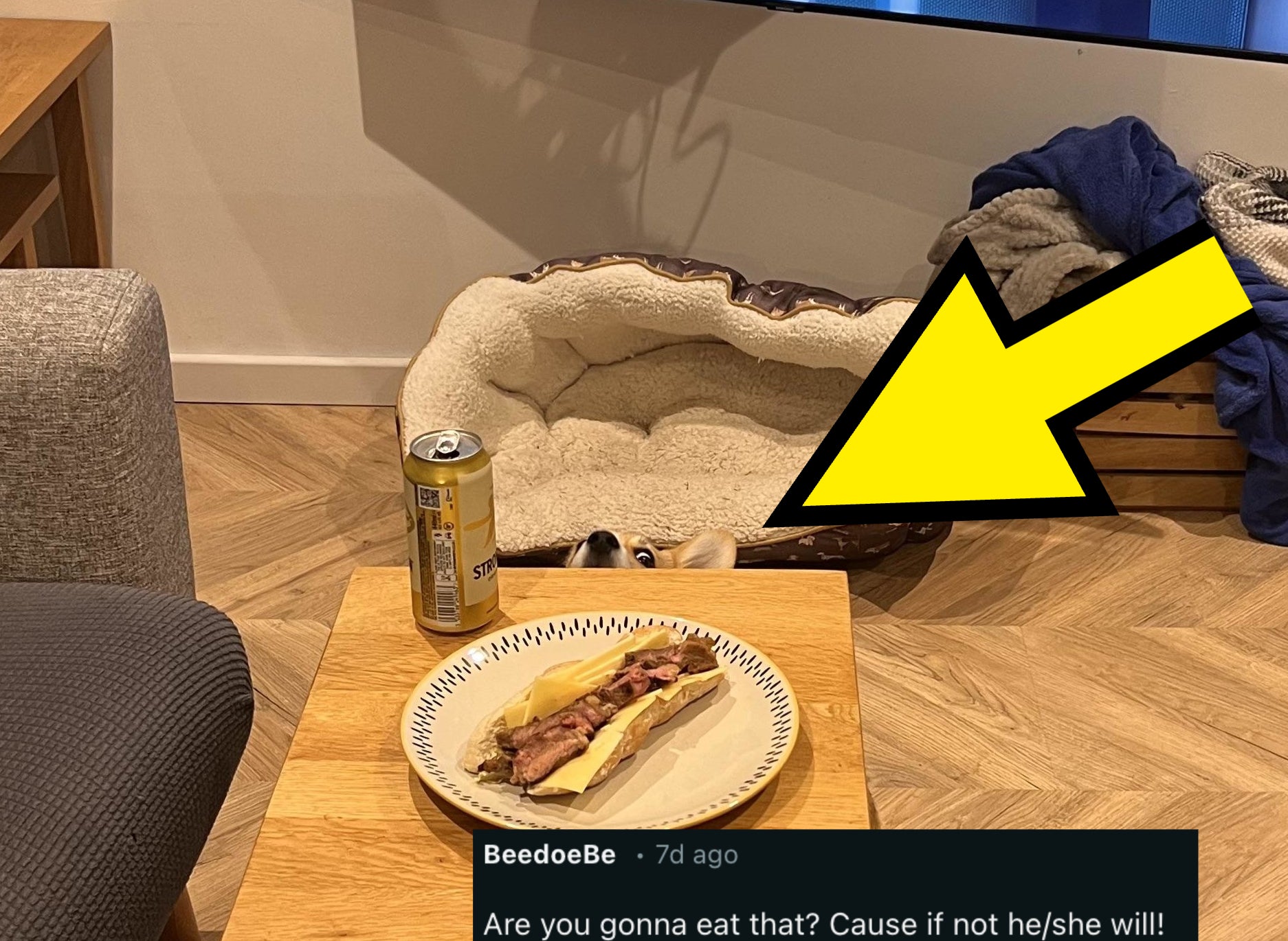 Dog bed, a can of drink, sandwich on table, TV in background showing a person at a counter, and a couch with a blue blanket