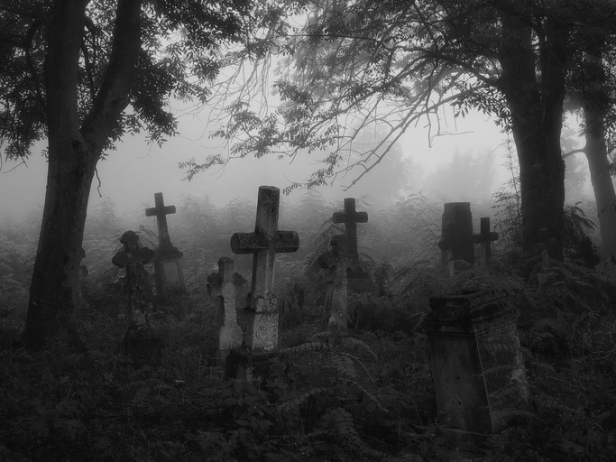 A foggy, overgrown graveyard with numerous old, weathered tombstones and crosses, surrounded by trees