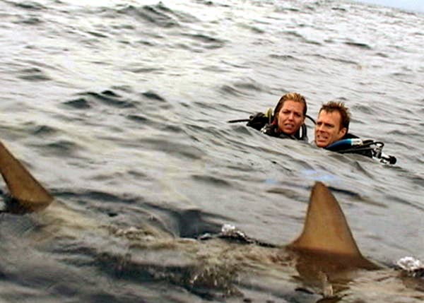 Blanchard Ryan, Daniel Travis in scuba diving equipment while sharks swim around them in the ocean