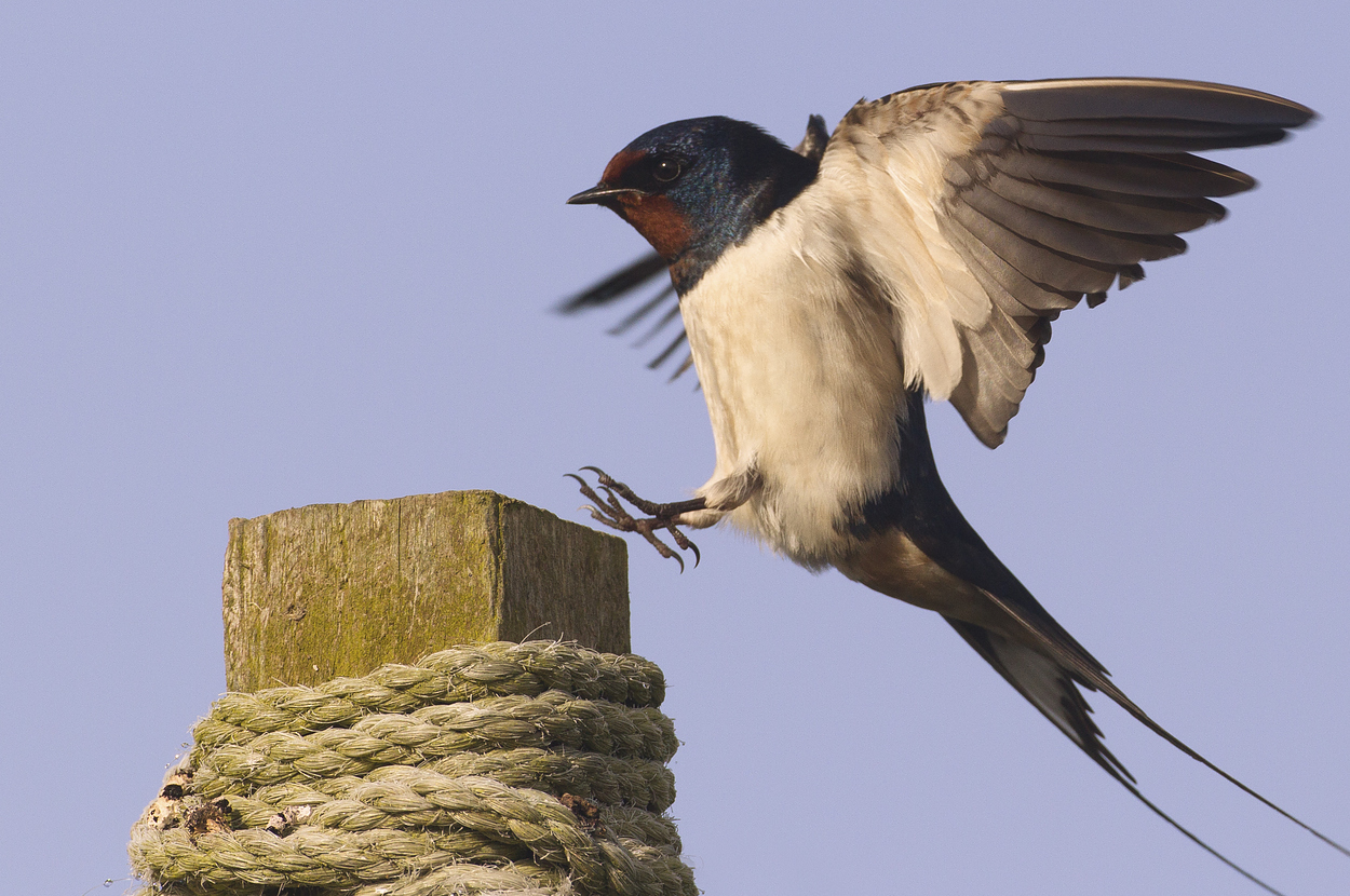 Andrew Sproule / Getty Images