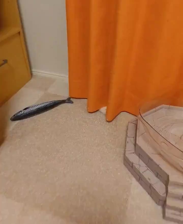 カーテンの裾から愛猫のおててらしきもふもふが