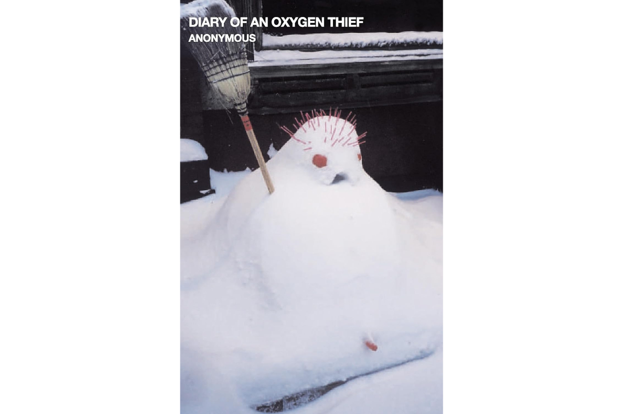 Book cover of "Diary of an Oxygen Thief" by Anonymous featuring a snowman with a broom and carrots for facial features