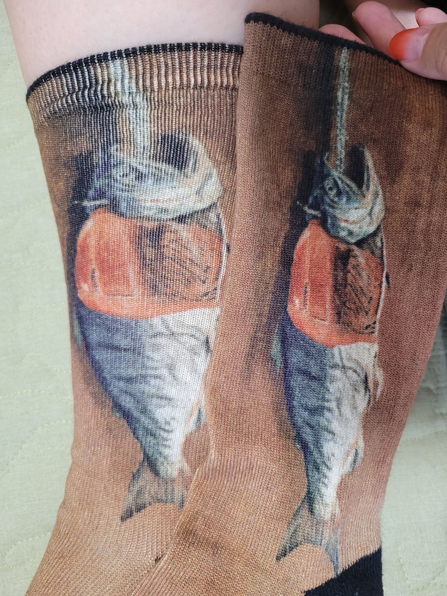 履くと鮭が太る。高橋由一の『鮭』が描かれた靴下（平日美術館のXより）