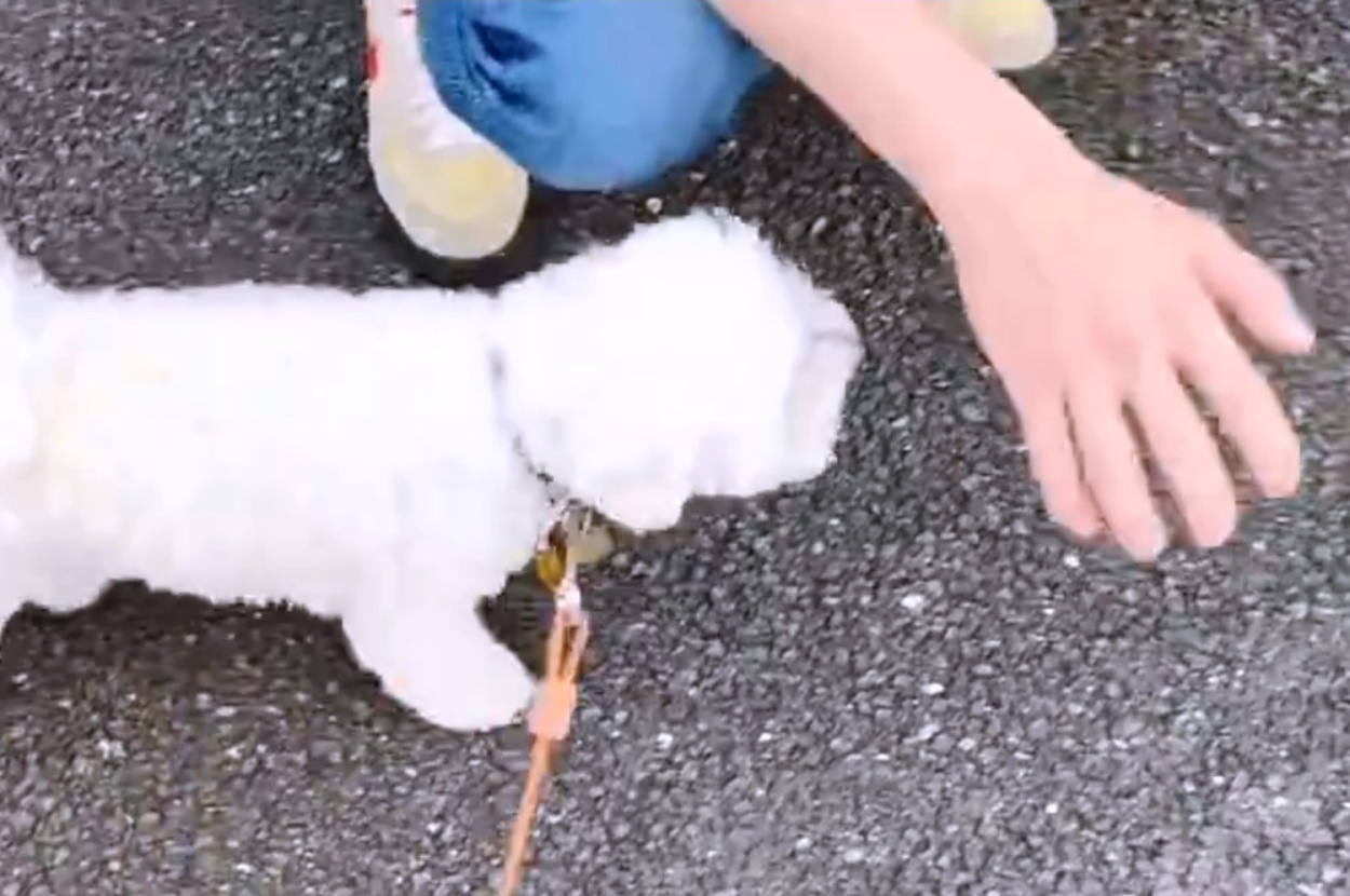 手に引き寄せられるまるこちゃん