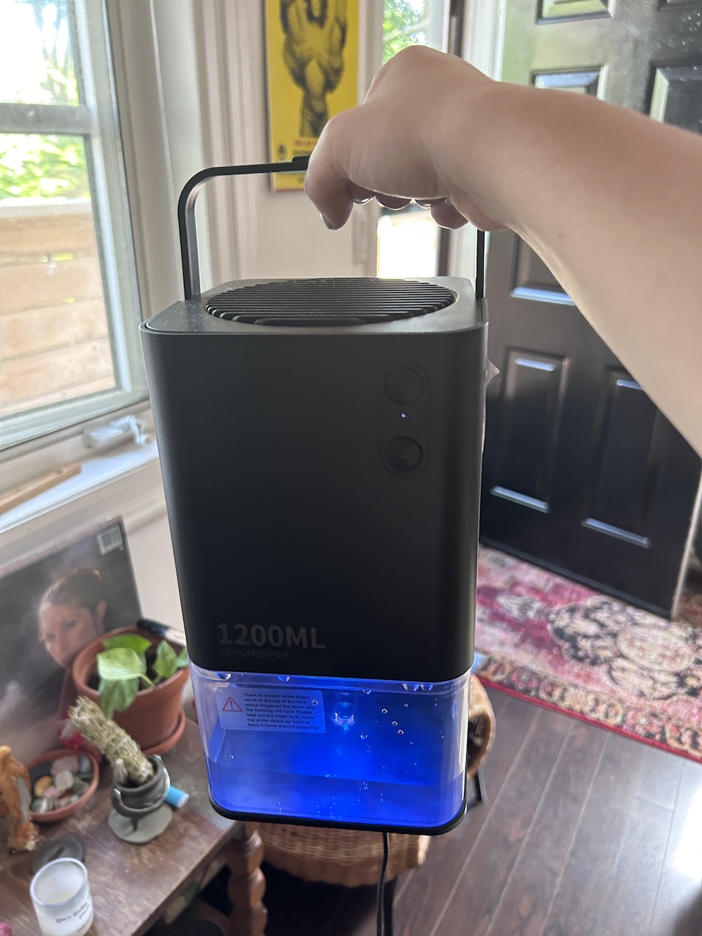 A person holds up a black humidifier with a 1200ML capacity, showing the blue water tank. The scene is in a home with potted plants and a rug visible in the background