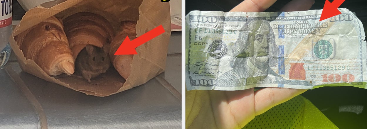 Image on the left shows a mouse inside a paper bag with two croissants, captioned "Welp, no croissants today." Image on the right shows a wrinkled $100 bill, captioned "I thought I was rich."