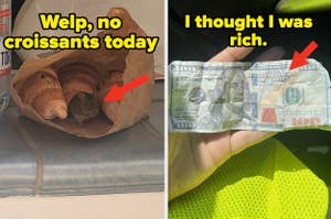 Left image: Croissant bag with a mouse inside, captioned "Welp, no croissants today." 
Right image: Person holding a counterfeit $100 bill, captioned "I thought I was rich."