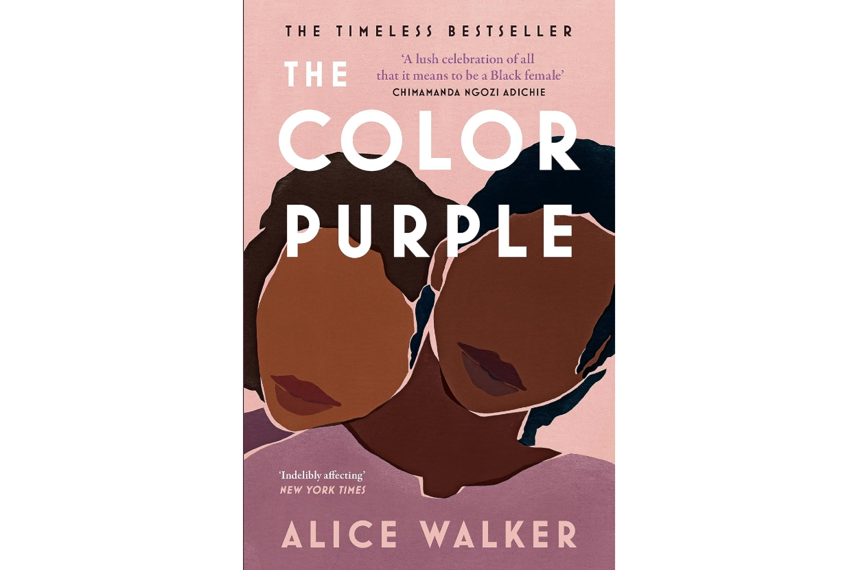 Cover of &quot;The Color Purple&quot; by Alice Walker, with abstract illustrations of two women's faces. Review quotes by Chimamanda Ngozi Adichie and The New York Times