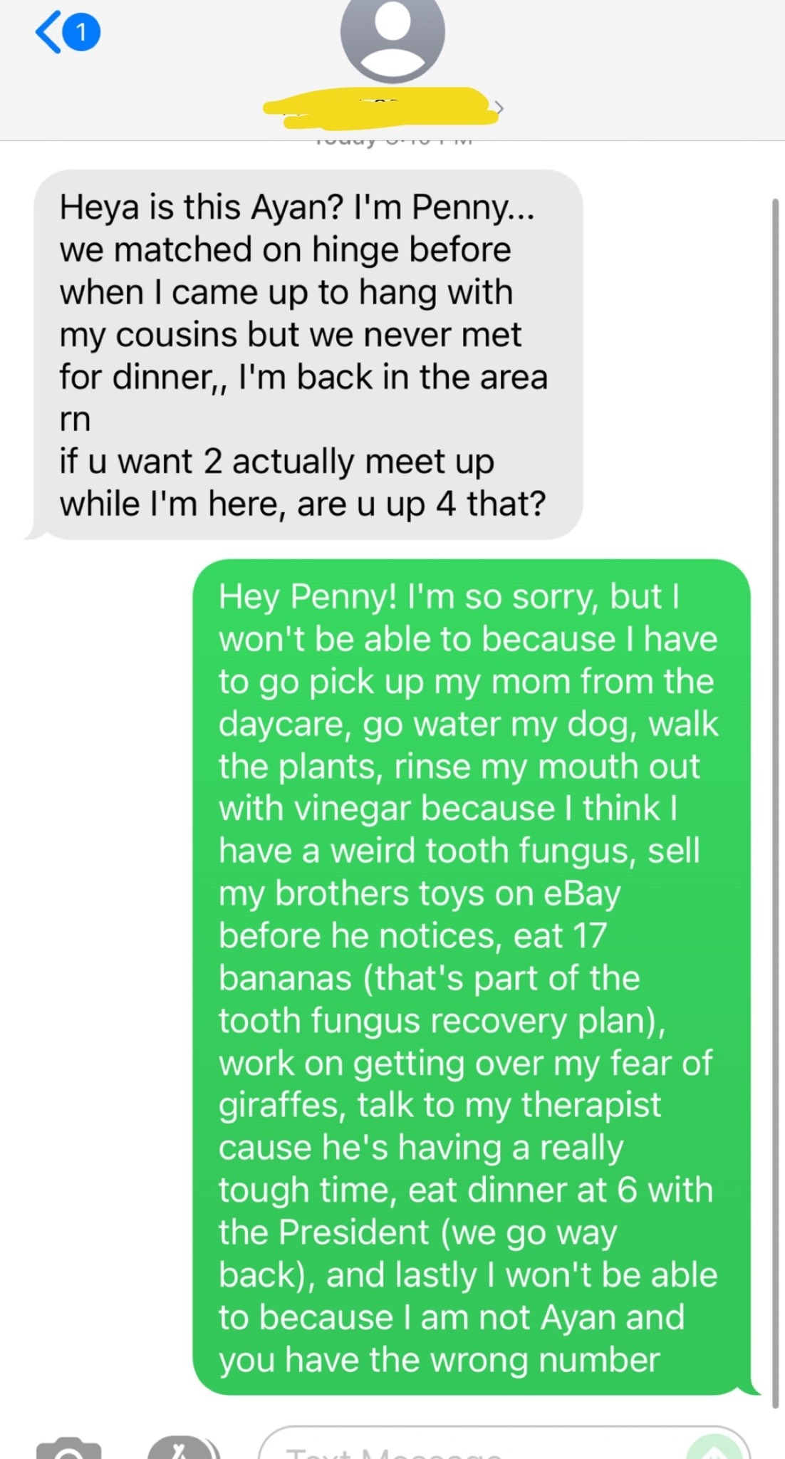 Text messages between two people. The first person asks if they can meet up, mistaking the recipient for someone named Ayan. The recipient humorously responds with various excuses, ending with, &quot;I am not Ayan and you have the wrong number.&quot;