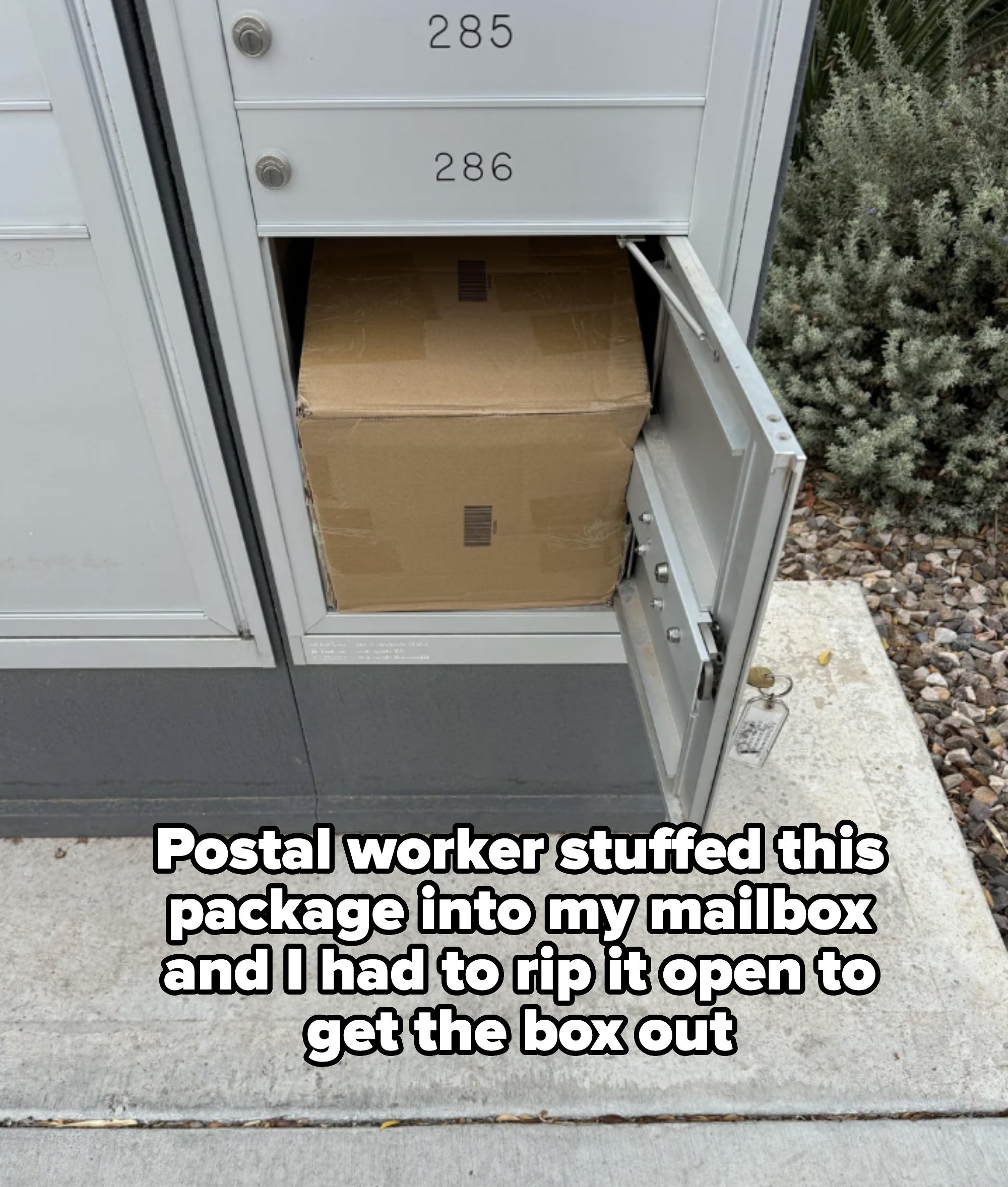 A mailbox with the door open revealing a large package inside. The mailbox is numbered 286