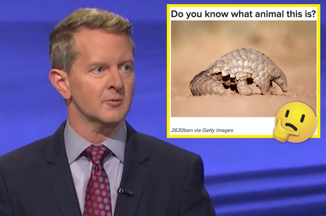 Ken Jennings in a suit and tie faces left. Next to him is an image of a pangolin with the text, "Do you know what animal this is?" and a thinking face emoji