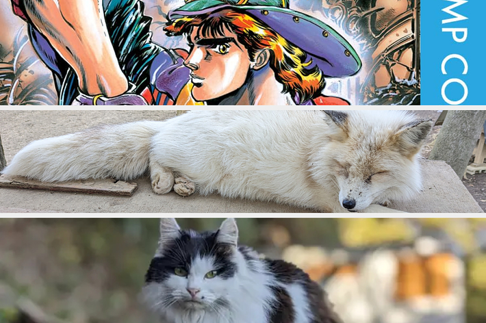 漫画ジョジョの奇妙な冒険のカバーアート、横たわっている白いキツネ、そして白と黒の猫。