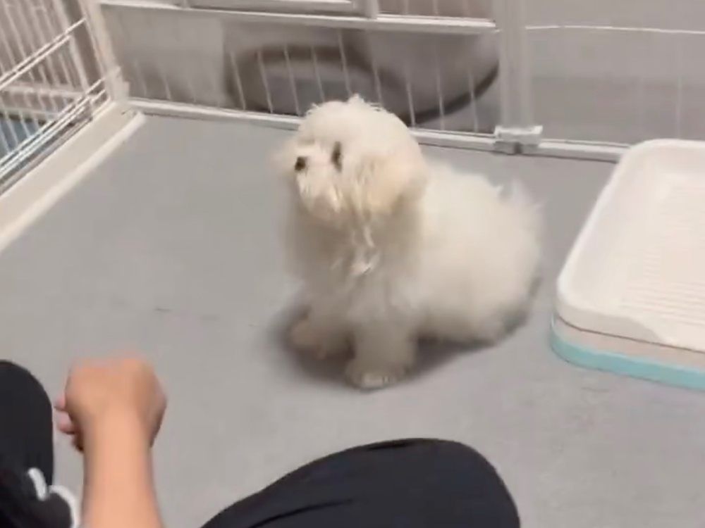 ちょこんと座るとろろくん