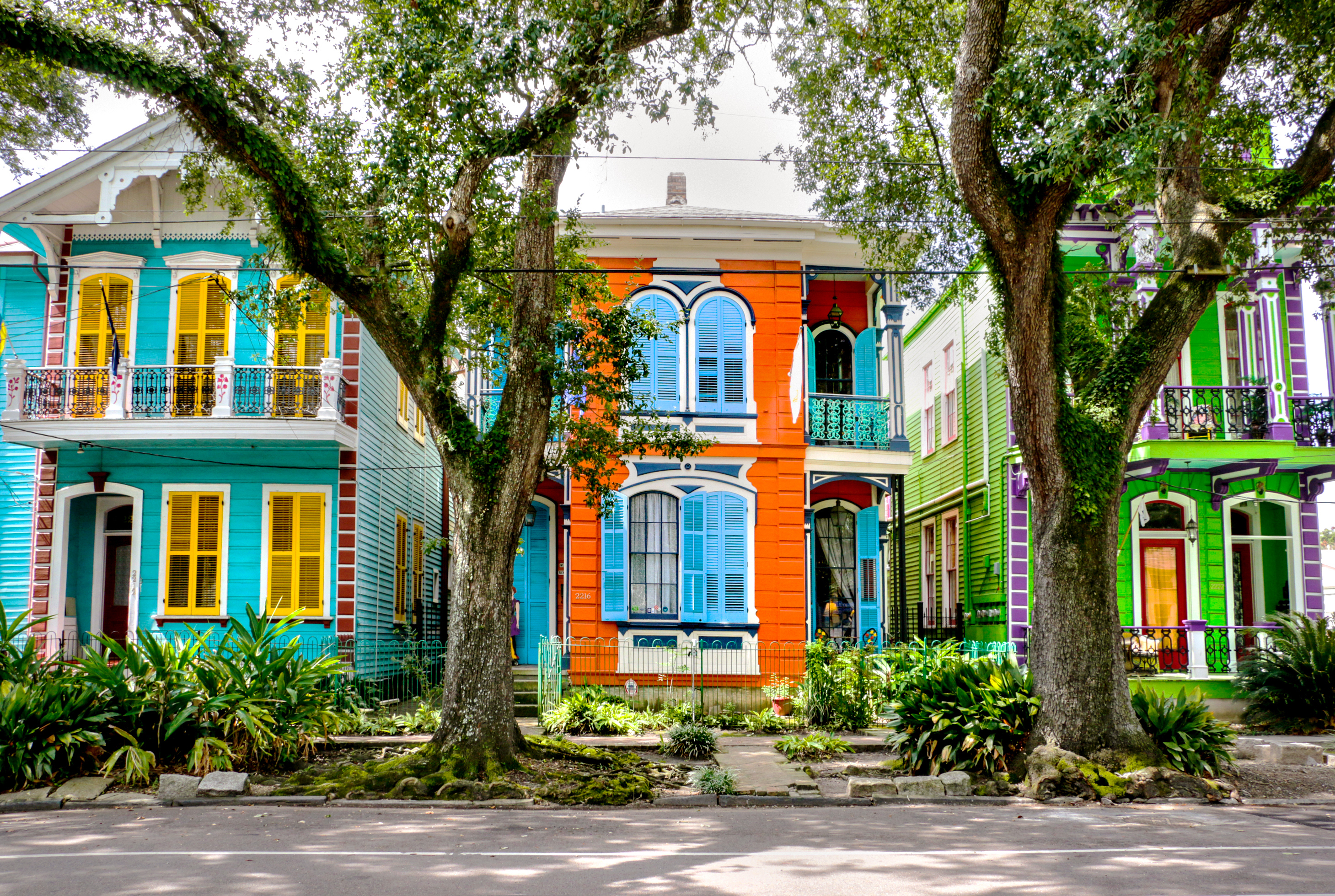 Colorful houses with ornate details and large trees in front, lining a street. The houses are vividly painted: turquoise and yellow, orange and blue, green and purple