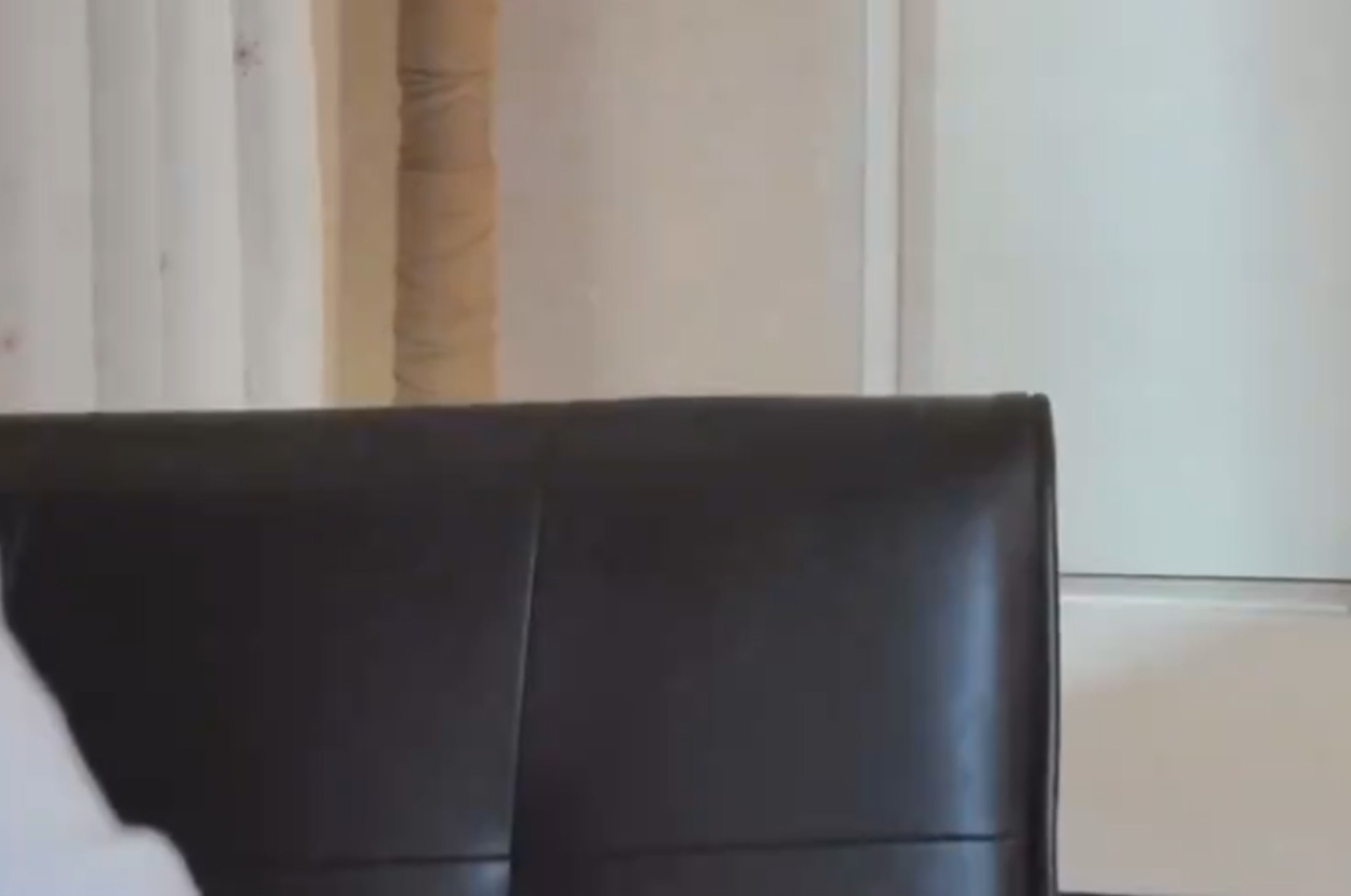 飼い主さんが座る椅子