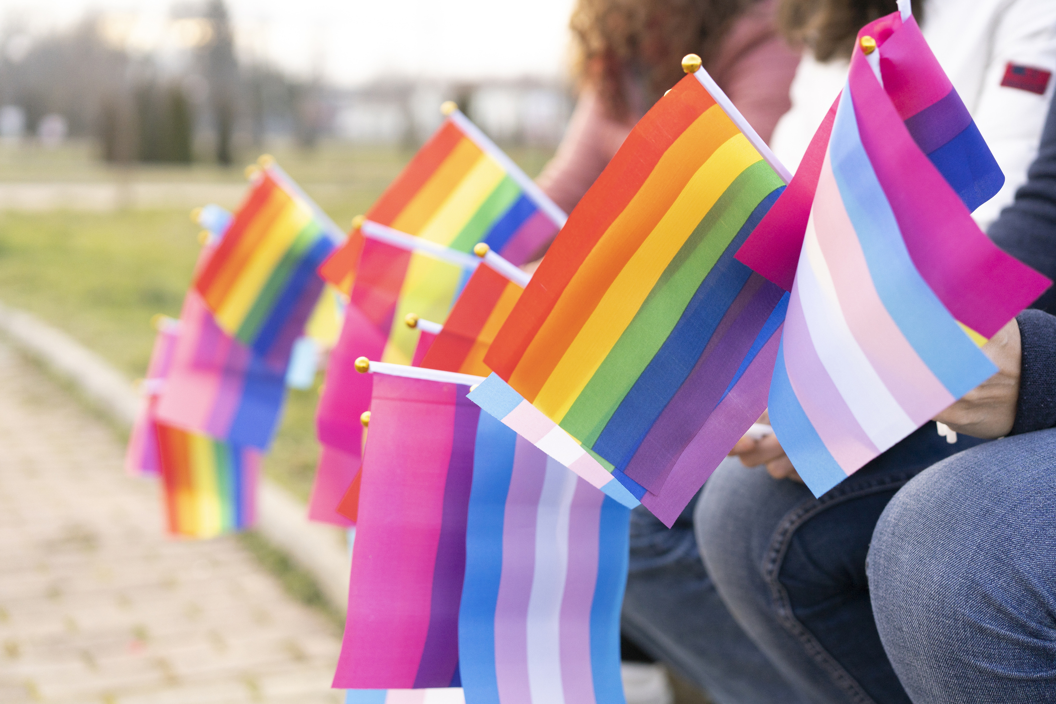 People holding rainbow and transgender pride flags, seated outdoors