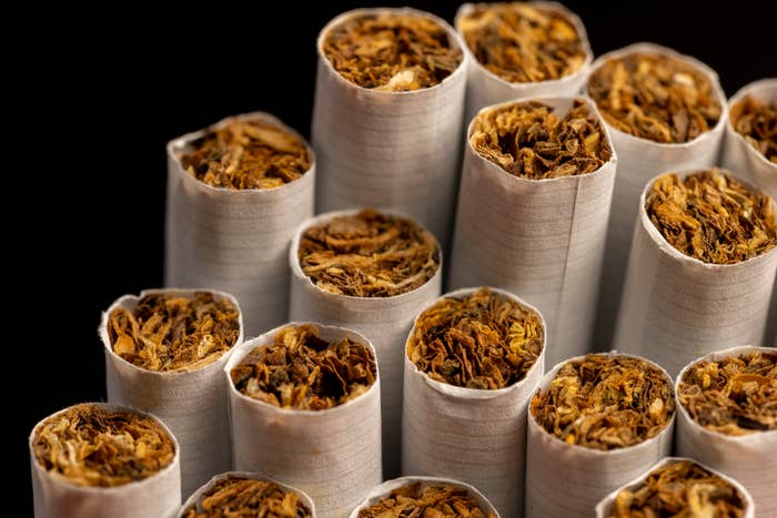 Close-up of several rolled cigarettes standing upright, showcasing the packed tobacco