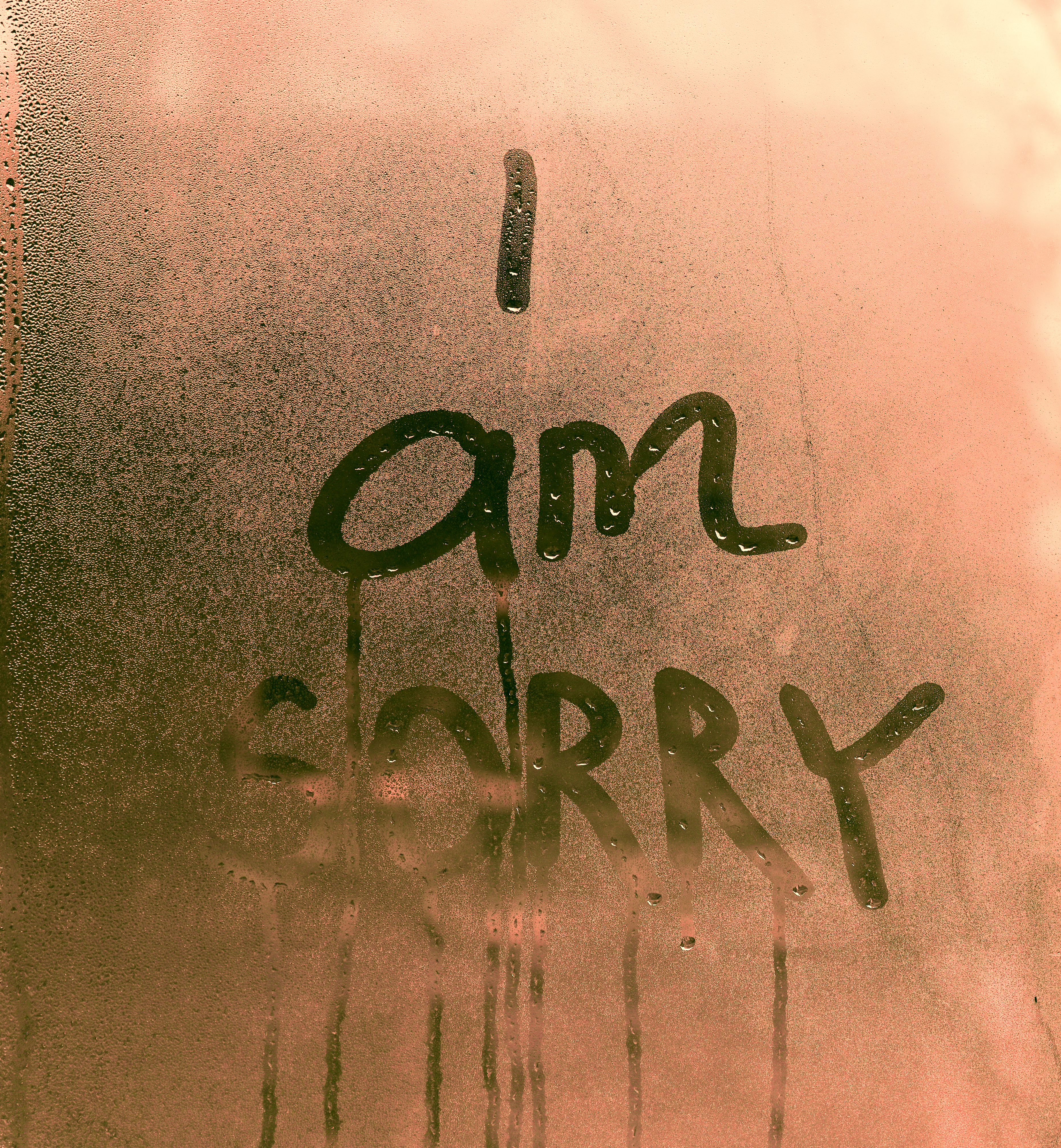 The image shows a message written on a fogged-up surface that reads &quot;I am sorry.&quot;