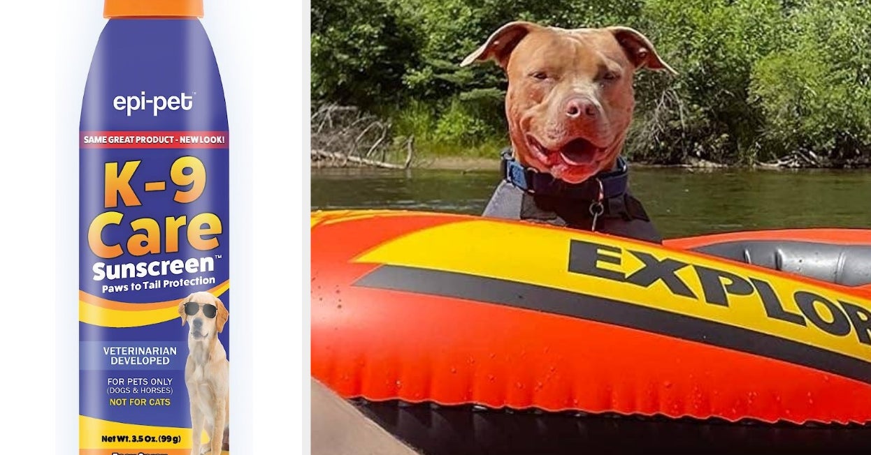 Yes, Your Dog Needs Sunscreen, Too. But Only 1 Brand Is FDA-Approved