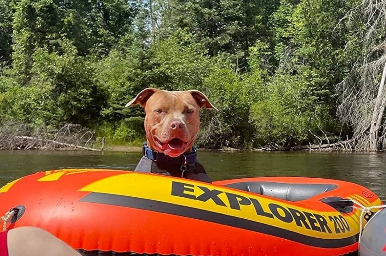A dog in a life jacket sits on a red and yellow inflatable boat labeled "EXPLORER 200" on a lake with trees in the background