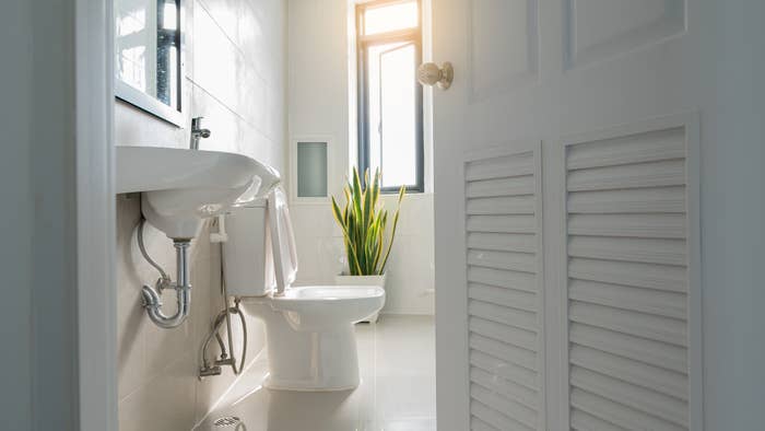 Bathroom interior with an open door, revealing a sink, a toilet, and a potted plant near a window. The scene is brightened by natural light from the window