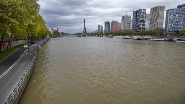 View of the Seine River in Paris with the Eiffel Tower in the background, lined with buildings and trees